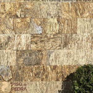 Pedra Madeira Amarelo Ouro 11,5×23