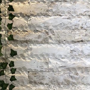 Rockface 10 Travertine Marble×30